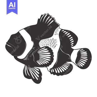 Aset premium populer: Black and White Illustration of a Clownfish