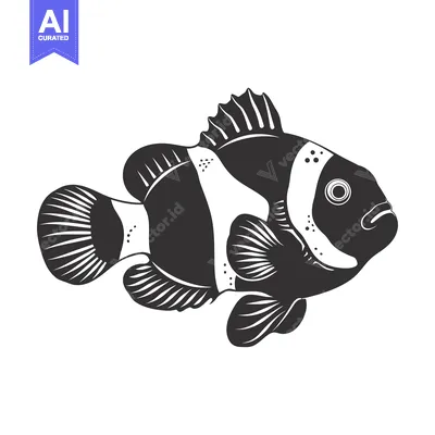 Aset premium populer: Black and White Illustration of a Clownfish