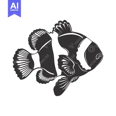 Premium design asset: Black and white illustration of a clownfish