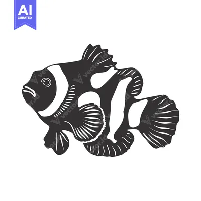 Popular premium asset: Black and white silhouette of an ocellaris clownfish