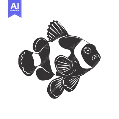 Popular premium asset: Black and White Illustration of a Clownfish