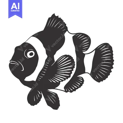 Aset premium populer: Black and White Illustration of a Clownfish