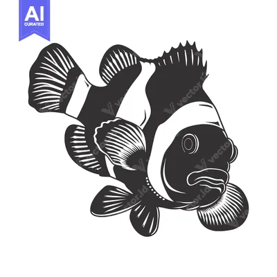 Aset premium populer: Black and White Illustration of a Clownfish with Striped Fins