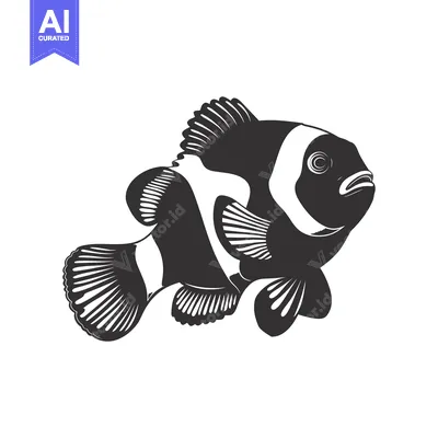 Aset desain premium: Black and White Illustration of a Clownfish