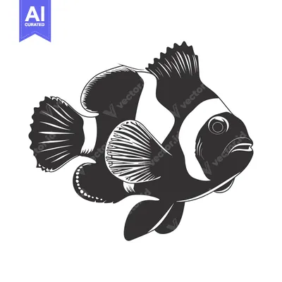 Aset desain premium: Black and White Illustration of a Clownfish
