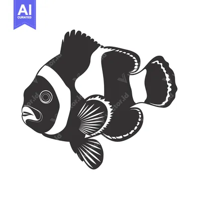 Aset desain premium: Black and white silhouette of a clownfish