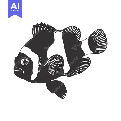 Aset premium populer: Black and White Illustration of a Clownfish