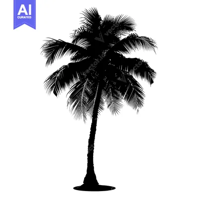 Aset desain premium: Black and White Silhouette of a Palm Tree