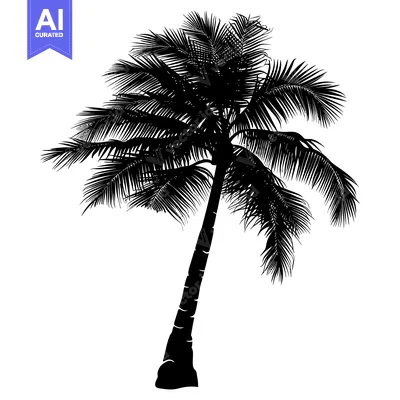 Aset premium populer: Black Silhouette of a Tall Palm Tree with Spread Fronds