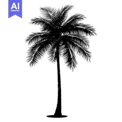 Aset premium populer: Black and white silhouette of a palm tree with a white background
