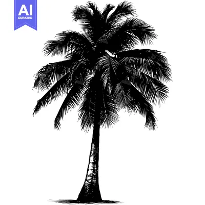 Premium design asset: Black and White Silhouette of a Palm Tree