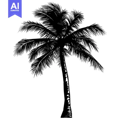 Popular premium asset: Black and White Silhouette of a Palm Tree