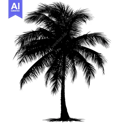 Aset premium populer: Black and White Silhouette of a Palm Tree