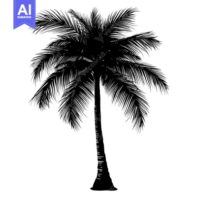 Aset premium populer: Black Silhouette of a Palm Tree