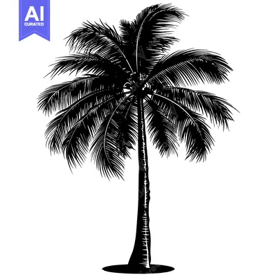 Popular premium asset: A Black and White Silhouette of a Single Palm Tree