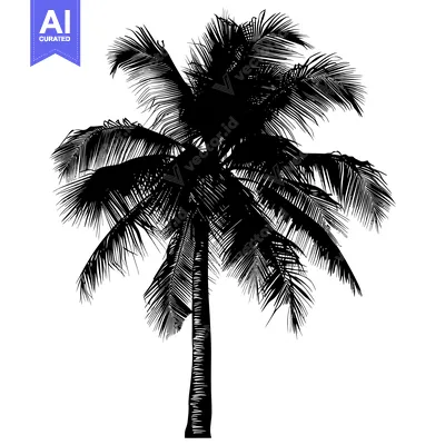Aset premium populer: Black and White Silhouette of a Single Palm Tree