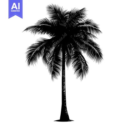 Premium design asset: Black and white silhouette of a palm tree with detailed fronds