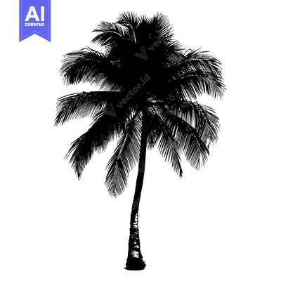 Aset premium populer: Silhouette of a single palm tree with lush fronds