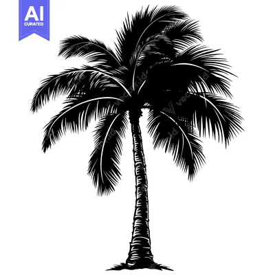 Premium design asset: Silhouette of a Single Palm Tree with Fronds