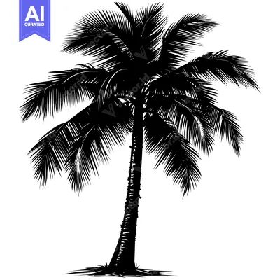 Premium design asset: Silhouette of a Tall Palm Tree with Lush Fronds