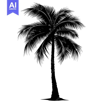 Aset premium populer: Black Silhouette of a Palm Tree with Lush Fronds