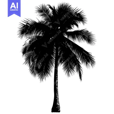 Popular premium asset: Black and White Silhouette of a Single Palm Tree