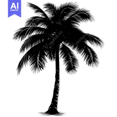 Aset premium populer: Silhouette of a Palm Tree with Fronds