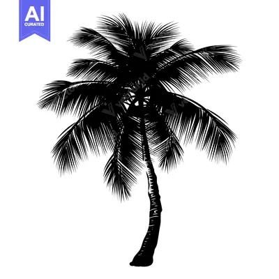 Aset desain premium: A Black and White Silhouette of a Palm Tree