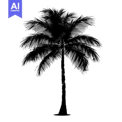 Premium design asset: Black and White Silhouette of a Palm Tree