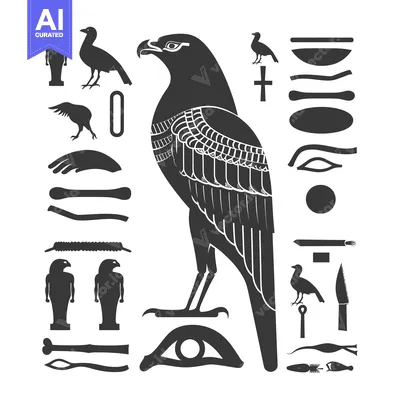 Aset premium populer: Black and White Illustration of an Egyptian Falcon with Hieroglyphics