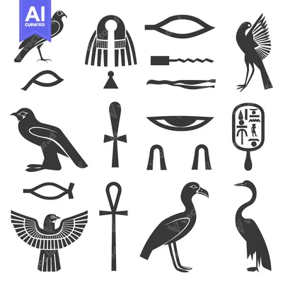 Egyptian Hieroglyphs and Symbols, including Birds, Ankh, and Eye of Ho