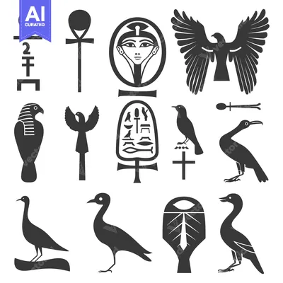 Aset premium populer: Egyptian Hieroglyphs and Bird Silhouettes