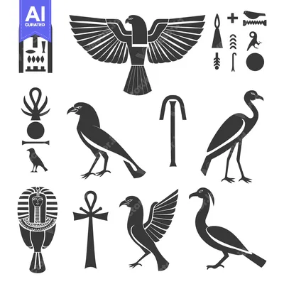Popular premium asset: Egyptian Hieroglyphs and Symbolic Birds