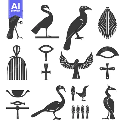 Popular premium asset: Egyptian Hieroglyphics and Bird Symbols in Black and White