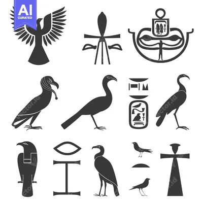 Aset desain premium: Egyptian Hieroglyphs and Bird Silhouettes