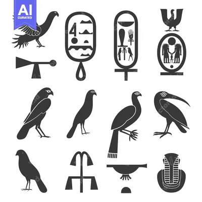 Aset premium populer: A Collection of Ancient Egyptian Hieroglyphics and Bird Silhouettes