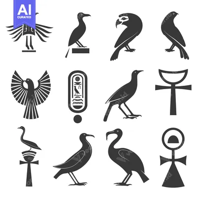 Aset premium populer: Egyptian Hieroglyphs and Birds with Ankh Symbols