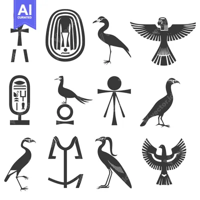 Egyptian Hieroglyphs and Bird Symbols