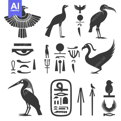 Aset desain premium: Egyptian Hieroglyphics and Bird Silhouettes