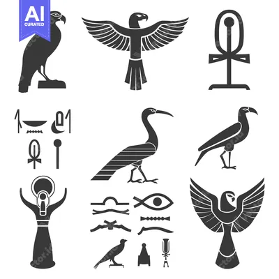 Aset premium populer: Egyptian Hieroglyphs and Symbols with Birds and Ankh