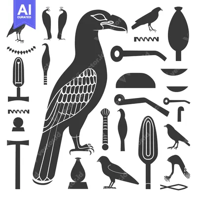 Egyptian Hieroglyphs Depicting a Large Bird with Additional Symbols