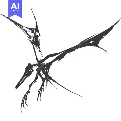 Popular premium asset: Skeleton of a Pterodactyl with Spread Wings