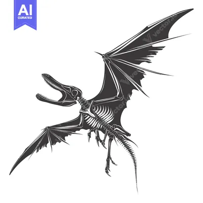 Popular premium asset: Skeletal Illustration of a Flying Dinosaur in Flight