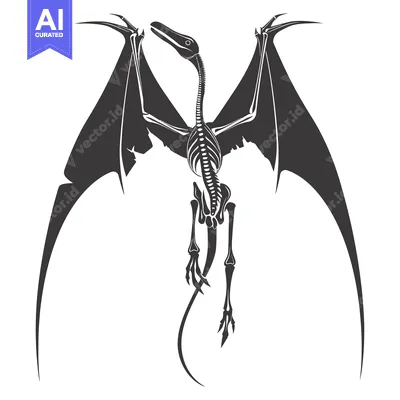 Aset premium populer: Pterodactyl Skeleton with Spread Wings