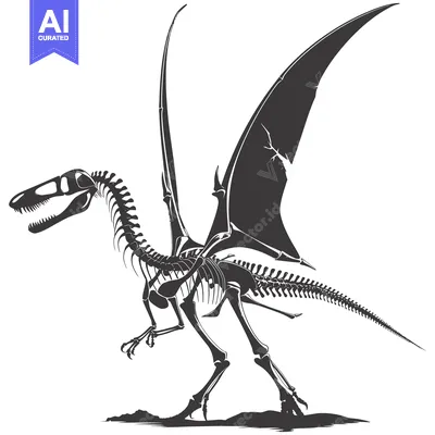 Popular premium asset: Skeletal Remains of a Pterodactyl with Wings Outstretched