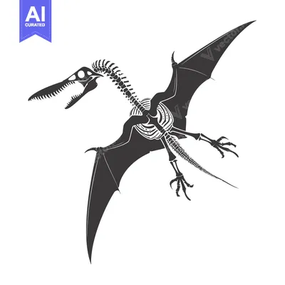 Aset desain premium: Pterodactyl Skeleton Silhouette in Flight