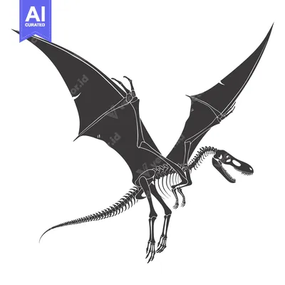 Aset premium populer: Pterodactyl Skeleton in Flight, Black Silhouette