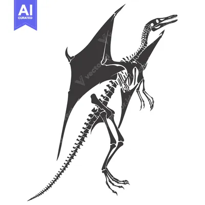 Premium design asset: Skeletal Remains of a Pterodactyl with Wings Spread