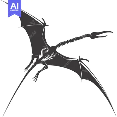 Aset premium populer: Silhouette of a Pterodactyl Skeleton in Flight