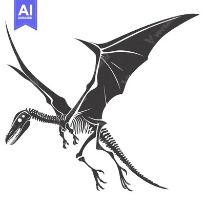 Premium design asset: Skeletal illustration of a pterodactyl in flight
